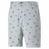 Puma Mens Arnold Palmer AP Umbrella Golf Shorts 2022 (On-Sale)